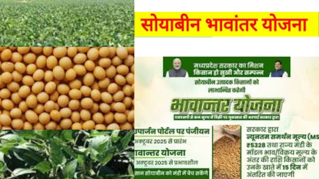 Bhavantar Yojana MP 2025 | भावान्तर भुगतान योजना : पात्रता, लाभ तथा रजिस्ट्रेशन